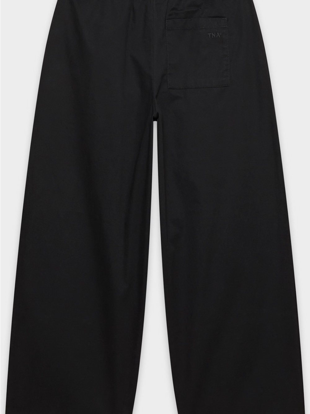 Aritzia voltage pants